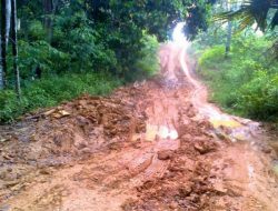 Dari Saya Anak-anak Hingga Saya Punya anak