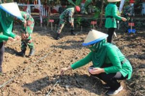 Inovasi Grup 1 Kopassus Dalam Memperkuat Ketahanan Pangan