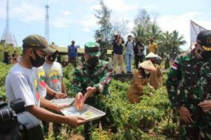 Wujudkan Program Ketahanan Pangan, Satgas Pamtas RI-PNG Yonif 131/Brs Panen Raya di Skouw Papua