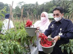Program PK Dinilai Berhasil, Kepala BKP : Tahun Depan Akan Kami Tambah Programnya