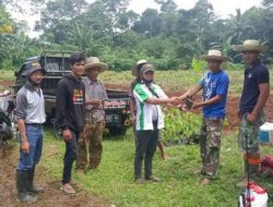HKTI Kabupaten Pandeglang Galakan Kemitraan Penanaman Talas Beneng untuk Meningkatkan Penghasilan Tambahan bagi Petani