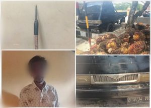 Polsek Banjarsari Polres Lebak Ringkus Seorang Tersangka Pencurian Sawit di Areal PTPN VIII Apdeling 1