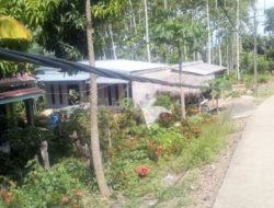 SKUTR milik PLN Lemah Pengawasan Dalam  Perawatan dan Pemeliharaan Jaringan dari Rayon Panimbang