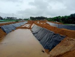 Camat Wanasalam bersama Satpol PP Lebak Tinjau Lokasi Tambak di Tanjung Panto