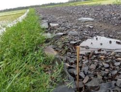 Diduga Menyimpang dari Perencanaan, Pelaksanaan Pembangunan Jalan Desa di Patia Rahayu Asal Jadi