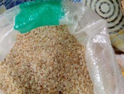 e-Waroong di Desa Sumurlaban Kec Angsana Salurkan Komoditi Beras Kualitas Buruk Berwarna Kuning