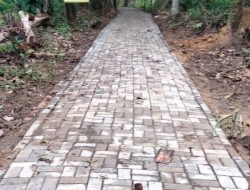 Dianggap Menuju Alam Gaib, Pembina KKPMP Soroti Pembangunan Jalan Paving Blok di Desa Kiarajangkung