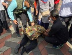 Saat Ditagih Janji Hibah Lahan, Mensos Risma Mendadak Sujud di Kaki Guru SLB