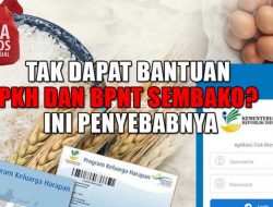 Tak Dapat Bantuan PKH dan BPNT Sembako? Ini Penyebabnya