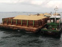 Presiden Jokowi Izinkan Ekspor Pasir Laut, Susi: Batalkan… Kerugian Lingkungan Akan Jauh Lebih Besar