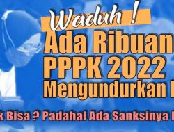Mengejutkan… Ribuan Calon PPPK Mundur Saat Proses Penetapan NIP, Ternyata Ini Penyebabnya…