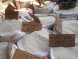 Badan Pangan Nasional: Harga Beras dan Jagung Makin Tinggi