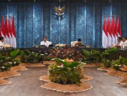 Presiden Jokowi sebut Investasi yang sudah masuk IKN sebesar Rp56,2 triliun