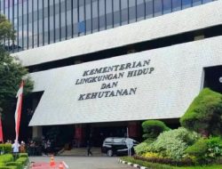 WALHI Desak Kejagung Usut Dugaan Korupsi Proyek Pemutihan Sawit dalam Kawasan Hutan oleh Kementerian KLHK