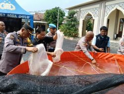 Dukung Program Ketahanan Pangan, Polres Serang dan Polsek Jajaran Gelar Penebaran 200 Ribu Benih Ikan