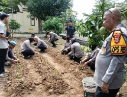Polres Serang Manfaatkan Lahan Kosong untuk Mendukung Ketahanan Pangan