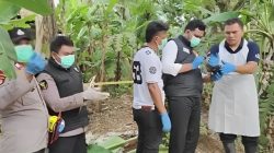 Geger! Jasad Tanpa Identitas Ditemukan Membusuk di Panimbang