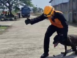 Korps Sabhara Baharkam Polri Gelar Gelar Latihan Pencarian Korban Bersama Unit Satwa (K9) di Jonggol