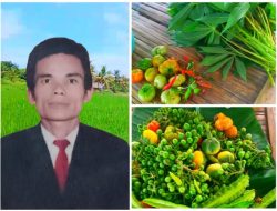 Panen Berkah, Tapi Belum Merata: Peningkatan Daya Beli Petani di Kabupaten Lebak dan Kabupaten Pandeglang Belum Dijamin Keadilan