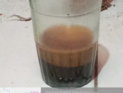 KOPI BEDENG.                            Opini Hukum: Pentingnya Kualitas Guru dalam Pendidikan