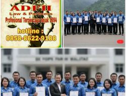 Pemerintah Diharapkan Memperhatikan Nasib Honorer yang Telah Lama Mengabdi