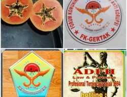 Manfaat Buah Pepaya untuk Kesehatan dan Kebugaran