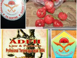 Manfaat Konsumsi Jambu Air untuk Kesehatan dan Kebugaran Tubuh