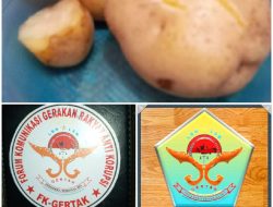 Manfaat mengkonsumsi kentang rebus untuk kesehatan dan kebugaran tubuh