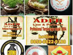 Isolasi dan Pemanfaatan Trikoderma sebagai Dekomposer dan Agen Antagonis Jamur Patogen