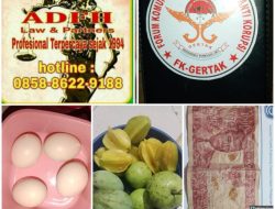 Analisis Hukum Internasional dan Kebijakan Fiskal dalam APBN 2025-2026