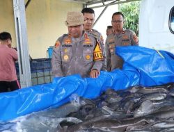 Kapolres Serang AKBP Condro Sasongko Tebar Ratusan Ikan lele