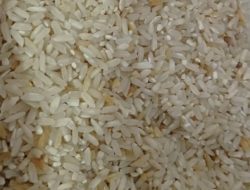 Berkualitas Buruk, Beras Bantuan Pangan Dikeluhkan Warga