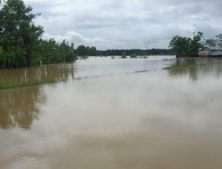 Lima (5) Rumah Kp Parungpung Pamarayan Terkena Dampak Banjir Belum Mendapatkan Bantuan Dari Pemerintah