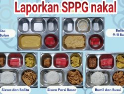 KOLASE Pinta Tenaga Pendidik dan Siswa, Foto atau Video Jika Ada Keluhan Program MBG