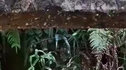 Miris! Mafia Penambang Emas Ilegal Diduga Kembali Beraktivitas