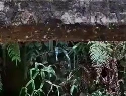 Miris! Mafia Penambang Emas Ilegal Diduga Kembali Beraktivitas