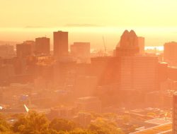 Cuaca Panas Ekstrem di Ciputat, Suhu Sentuh 36°C