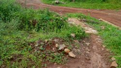 Jalan Poros Tiga Desa di Muncang Rusak Parah, Warga Pertanyakan Janji Pemerataan Infrastruktur