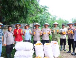 Polres Serang menggelar kegiatan panen jagung serentak Kuartal II Tahun 2026 di lahan pertanian seluas 2 hektar yang berada di Kampung Kebayan, Desa Mekarbaru, Kecamatan kopo.