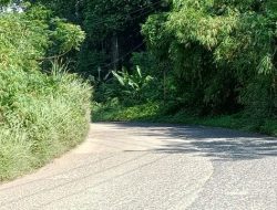 Rumput Liar Setinggi Satu Meter Halangi Pandangan di Jalan Gunung Kencana–Banjarsari Warga Khawatir Kecelakaan