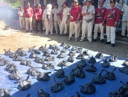 Wujudkan Kepedulian Sosial, PPIR Lebak Selatan Salurkan Qurban Sapi di Desa Situregen