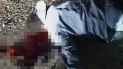 Kecelakaan Tunggal di Cikulur, Satu Korban Tewas Akibat Jalan Minim Penerangan dan Rambu