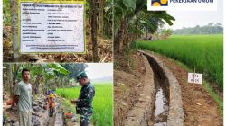 Tim Pendamping: P3-TGAI di Desa Asem Margaluyu Prioritaskan Kualitas Fisik Irigasi untuk Dukung Ketahanan Pangan
