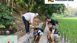 Kades Muaradua Kawal Program P3-TGAI, Kedepankan Mutu Fisik Berkualitas