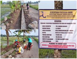 Program P3-TGAI Sanding Bersatu Dorong Ketahanan Pangan di Lebak