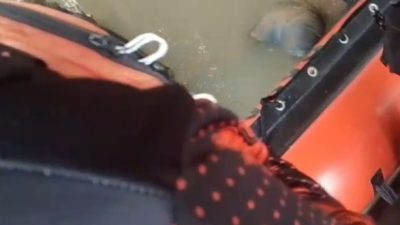 TIM SAR GABUNGAN TEMUKAN REMAJA TENGGELAM DI SUNGAI CIUJUNG, OPERASI SAR DITUTUP