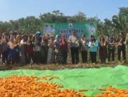 Camat Sajira Apresiasi BUMDes Pajagan Sukses Kelola Program Ketahanan Pangan