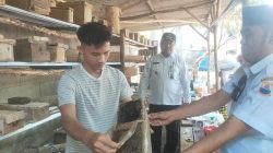 Camat Sajira Apresiasi Pengusaha Muda Asal Desa Mekarsari, Madu Teuweul “Bang Uday” Tembus Pasar Jabodetabek, Menuju Sertifikasi BPJPH