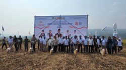 Panen Raya Padi Organik PS-08 dan Gerakan Tanam Jagung Hibrida di Carita Dukung Swasembada Pangan Nasional
