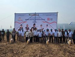 Panen Raya Padi Organik PS-08 dan Gerakan Tanam Jagung Hibrida di Carita Dukung Swasembada Pangan Nasional